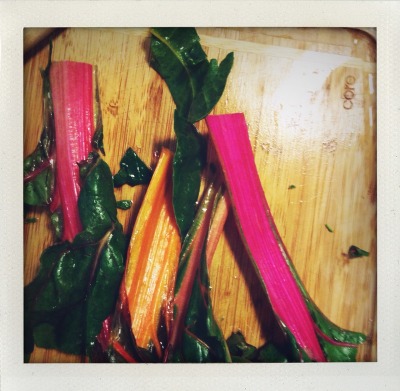 Check out the hot fuchsia shade of these rainbow chard stems. This eye popping color needs to be bottled into a (toxic-free) nail polish or lipstick tube S T A T!