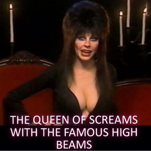 Mistress of the dark ❤#queenofhalloween #elvira #elviramistressofthedark #emotd #elviramotd #hero #f