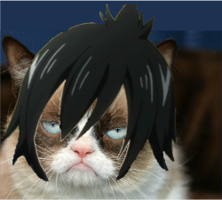 priestess-eclair:  (I give you: GRUMPY CAT