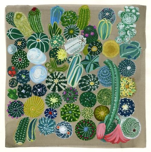 cactus-in-art:Fanny Bostrom (fanny-gentle.squarespace.com/)Cactus collection