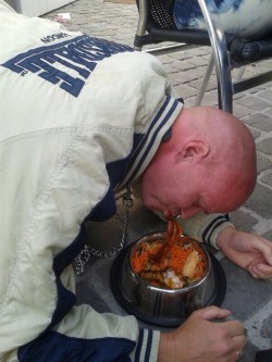 jockpig:  slave dix eating from dog bowl