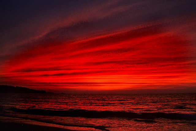 baetology:  red moods // @bryantsupreme