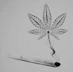 nervousgirll:  I smoke a blunt to take the pain out, and if I wasn’t high, I’d probably try to blow my brains out