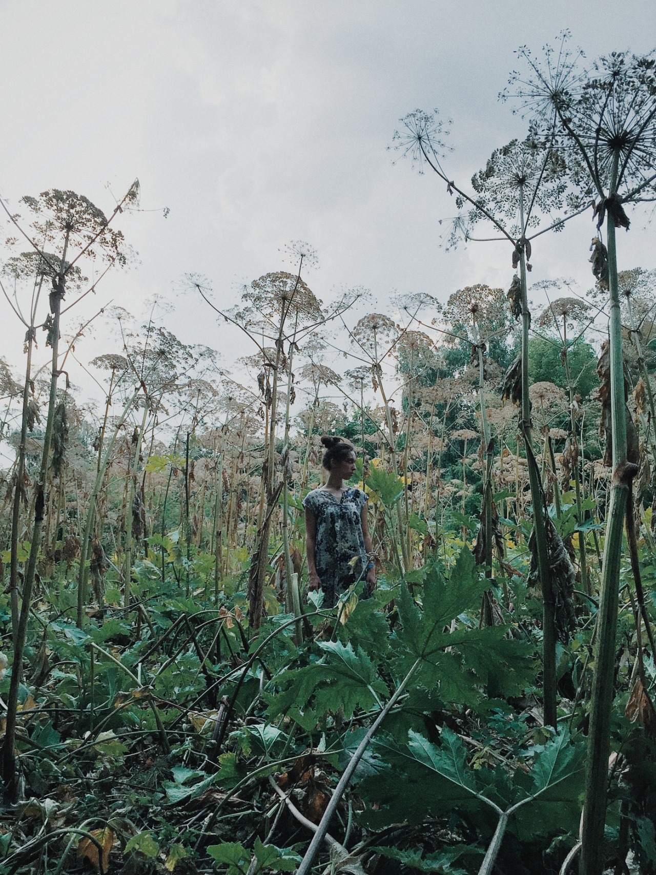 danielodowd:  http://gmentezi.vsco.co/