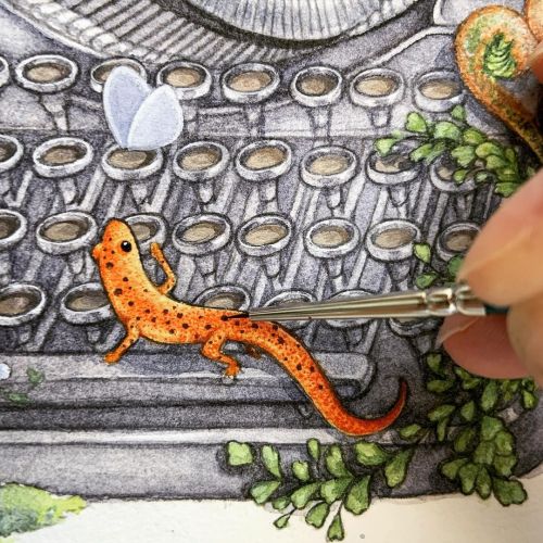 Painting tiny salamanders today #salamander #mudsalamander #painting #watercolor #wip https://www.in