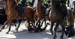 annanstans:  Today in Malmö people have been protesting against the nazis in Svenskarnas Parti. The police went crazy, as usual, and rode over people several times, hit them in the head, and so on, all the things police usually do. Nowadays the nazis