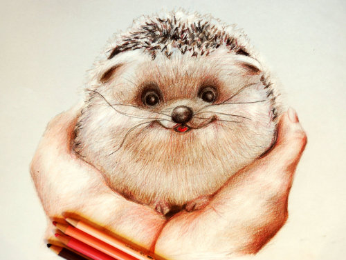 AWwwwwwwwwwwwwwwwwwwwwwwwwwwwwwwwwwwwww!!!! Check Out The Wonderful And Cute Female Artist Who Created