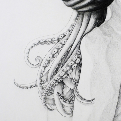 mirrormaskcamera:Octopus part IIGraphite on paper, 45 x 50 cm.by lantomo (Antonella Montes)