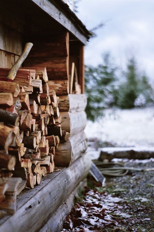 XXX r2–d2:  Woodpile  photo