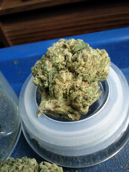 Smells Like Bong Water