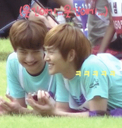 taeholic:  chutnee2:  I’m waiting for the day Jonghyun starts using Minho reaction