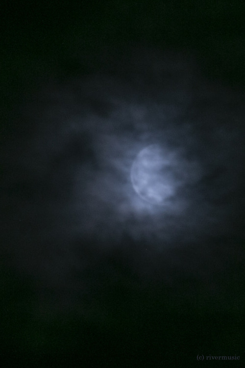“The moon does not fight.  It attacks no one.  It does not worry. It does not try to