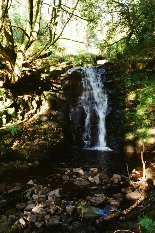 alifeingrain:Brecon Beacons, Wales  - September 2020Pentax K1000 on Lomography 400