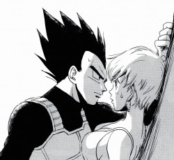 jinzuhikari:  Vegeta and Bulma piece from Vegebul Anthology dojin [ Cool And chic style ] 