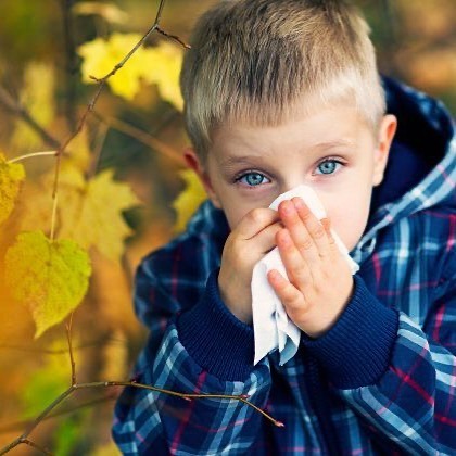 <p>🤒 Does your child get sick as soon as the weather gets cold? 🍂<br/>
.<br/>
Homeopathy can help!<br/>
.<br/>
Using remedies from natural sources Homeopathy can bring balance to your child’s immune system - boosting their resistance to illness during the winter months.<br/>
.<br/>
Why not book a FREE 15 minute introductory call to see how Homeopathy can help?<br/>
.<br/>
#tryhomeopathy #homeopathyhelps #homeopathyworks #fluseason #naturalmedicine #naturalmedicinecabinet #winterflu #holistichealth #naturalremedies </p>

<p><a href="https://www.instagram.com/p/CEjXQoDj4l3/?igshid=1112bry1ml6bn">https://www.instagram.com/p/CEjXQoDj4l3/?igshid=1112bry1ml6bn</a></p>