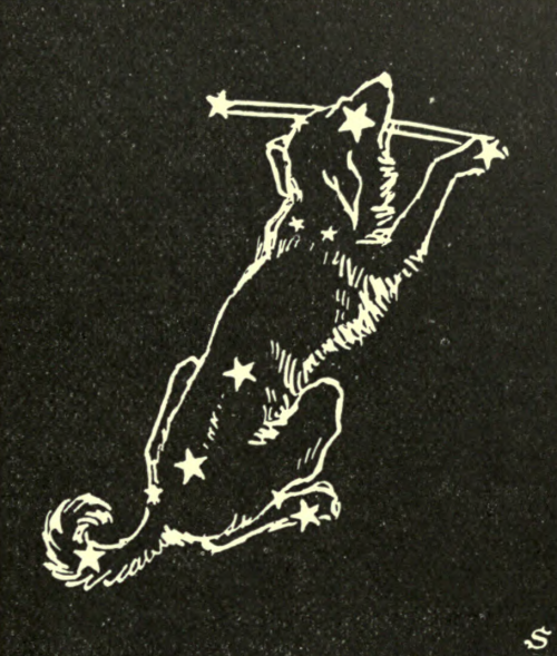 nemfrog: Canis major. “Sirius, the brightest star in the heavens, is in this constellatio