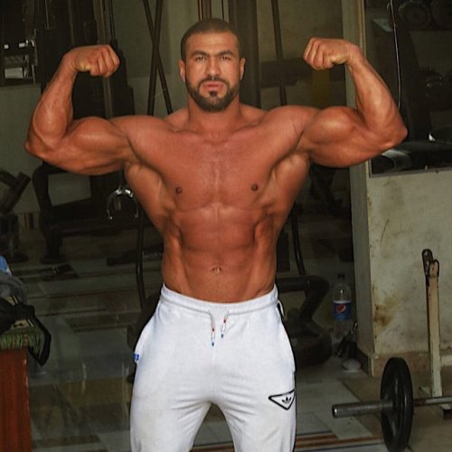 Arab Muscle Gods
