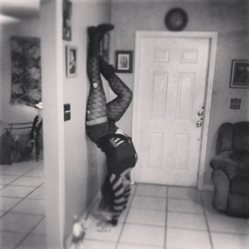 isabellelovespeanutbutta:  Bitches love handstands  Mmm