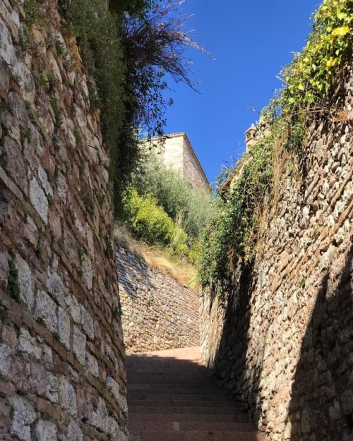 Walking though a quiet part of town. This August come take a workshop in Assisi. Link in profile. # 