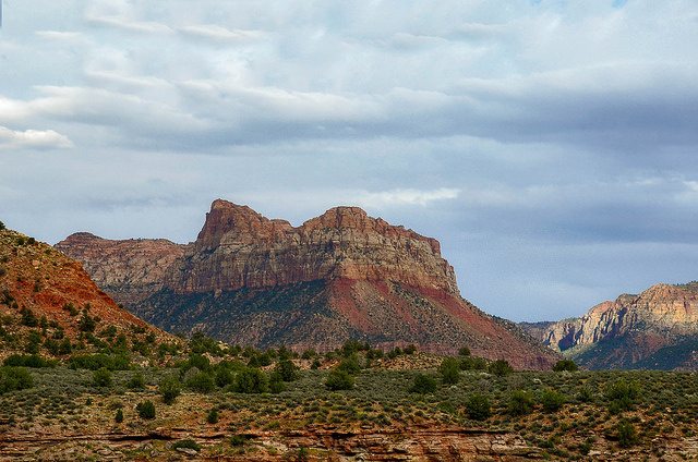 chillypepperhothothot:  Zion in the springtime by Mike Hankey1 on Flickr. 