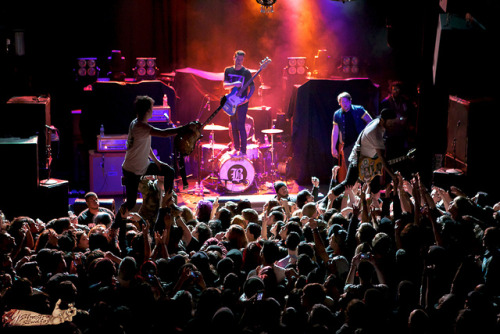star-coloured-eyes:  BearTooth by SinestraStudios on Flickr. 