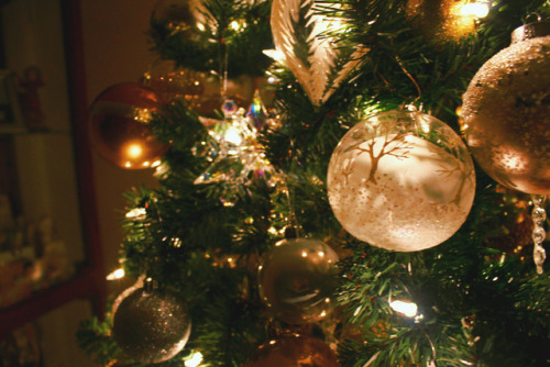 A Photo Shoot of Christmas ornaments on Our Tree! aflowerofgod.blogspot.com/2017/12/the-gift