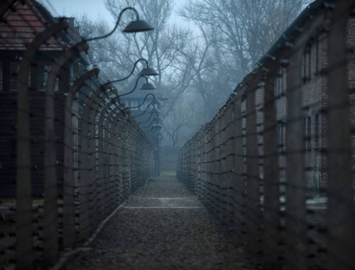 kateoplis:“I just wanted to live.”The 70th anniversary of Auschwitz liberation isn’t the time to mar