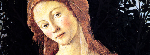 annesidora:┗history art meme -&gt; Sandro Botticelli&ldquo;Botticelli drew frequently, to such an ex