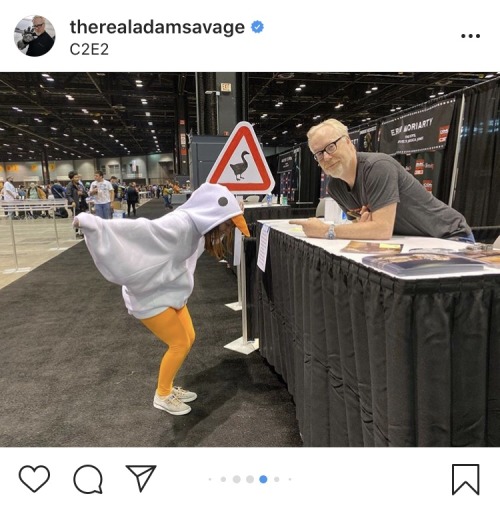 untitledgoosememes:Amazing Goose Cosplay at Chicago’s C2e2 by Kidd Cosplay (www.instag