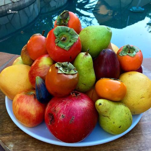 Eat more living, high vibration foods and feel alive! FALL FRUIT is here! Apples, pears, persimmons,