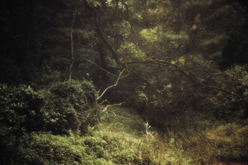 iylshowcase: Brazilian photographer Rafael Milani, featured in If You Leave Vol. III, has recently h