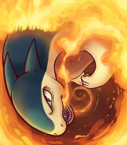 steffy-beff:   Typhlosion used Flame Wheel!