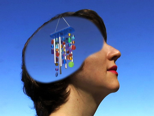 aqqindex:  Shana Moulton