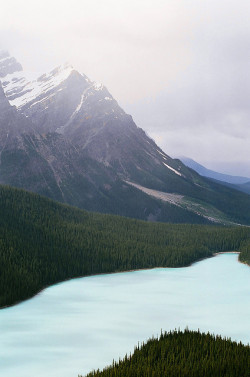 de-preciated:  Alberta_Banff National Park by leo_lam_2000 on Flickr. 