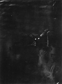 akaixab:  Ernö Vadas: Excursion nocturne, 1937