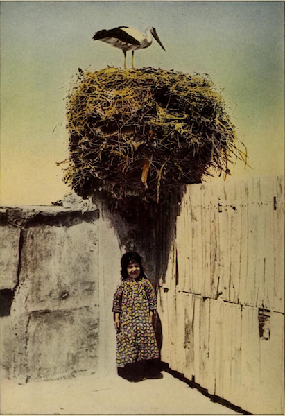 nemfrog:A Kurdish girl poses beneath the big nest of a stork, along with the stork itself. The natio