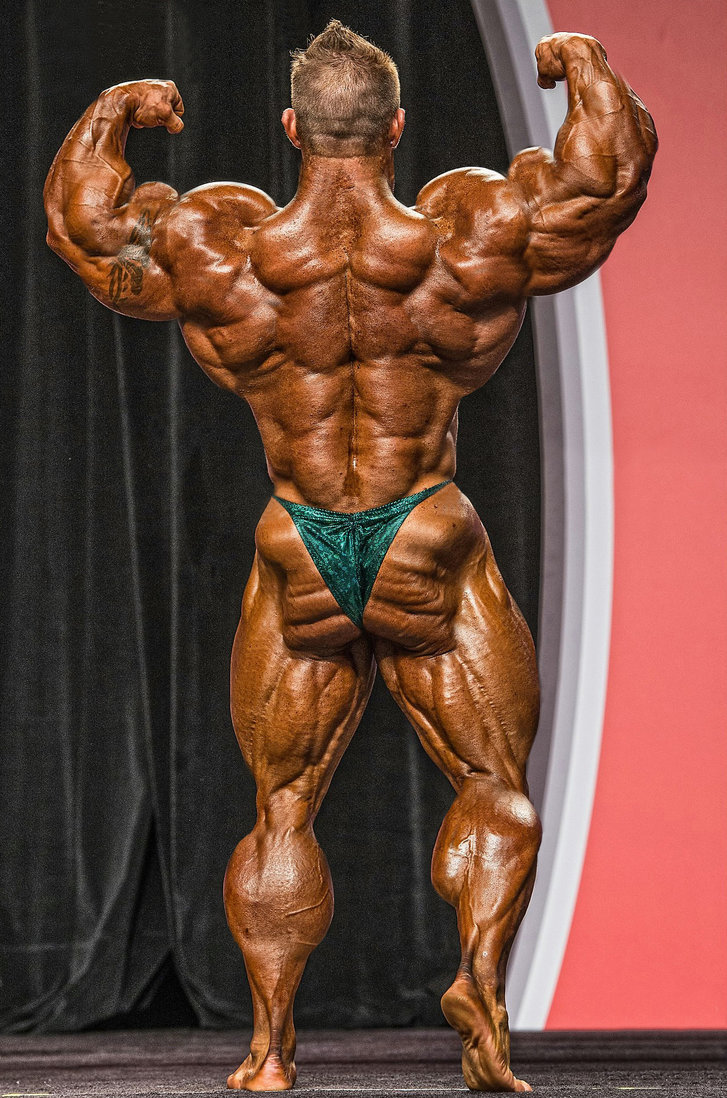 deadlifts-and-derrida:  musclerod8888:  muscledlust:  I love morphs!  Beautifully