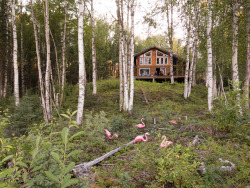 cabinporn:  A family-built hideout near Talkeetna,