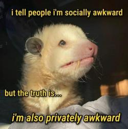memewhore: