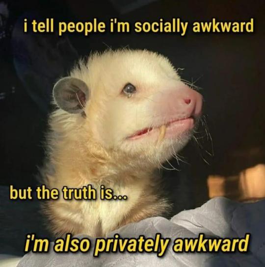 memewhore: