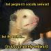 memewhore: