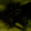 nocturnesonvinyl