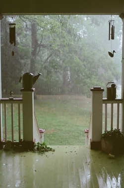 bluepueblo:  Summer Rain, Brentwood, Tennessee