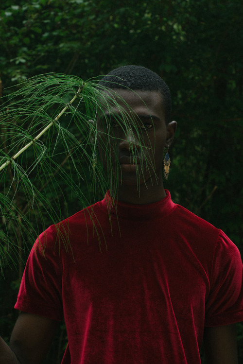 5oho: ‘anatomy of lust‘ - pressure paris magazine jean-luc harderwick photographed 