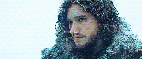 cyberqueer:She had not thought of Jon in ages. He was only her half brother, but still… with Robb an