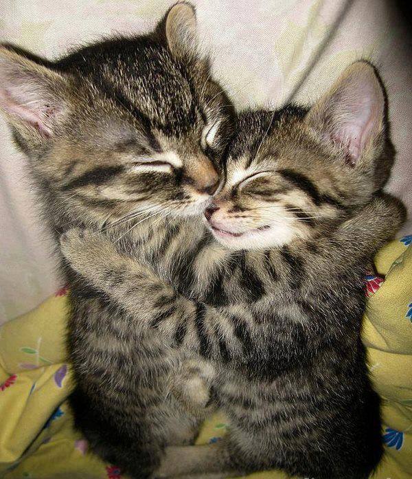 deliriosity:  omfg aw 