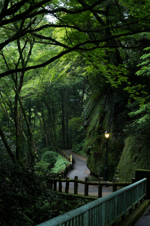 tropicalblxck:  bonitavista:  Osaka, Japan photo via jdc  following back all jungle/tropical blogs  