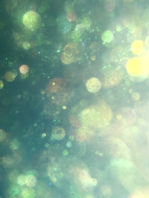 reuralis:  This is what happens when you have a waterproof case, a lush bath bomb, and faith that the waterproof case will live up to its job.