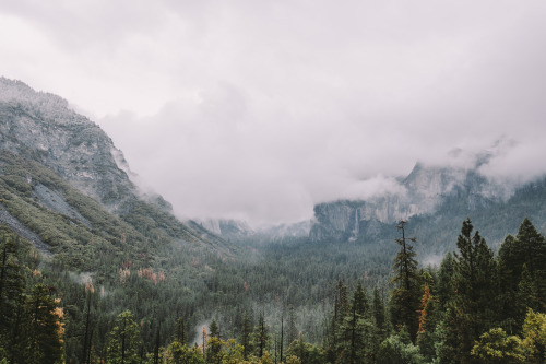 becerrac:Yosemite Valley, By Christian Becerra.