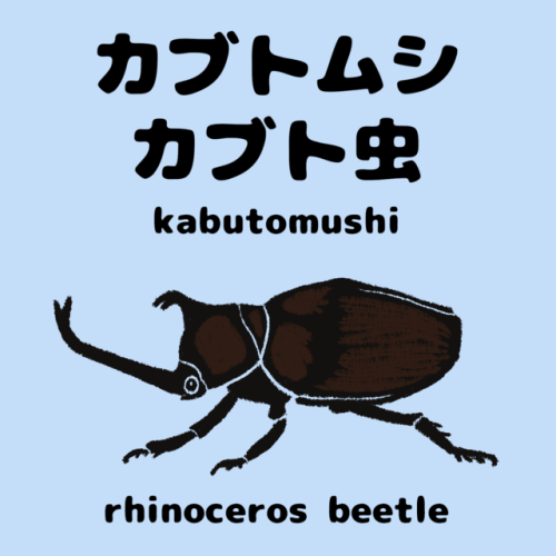 Vocabulary Word 5 :カブトムシカブト虫kabutomushirhinoceros beetle